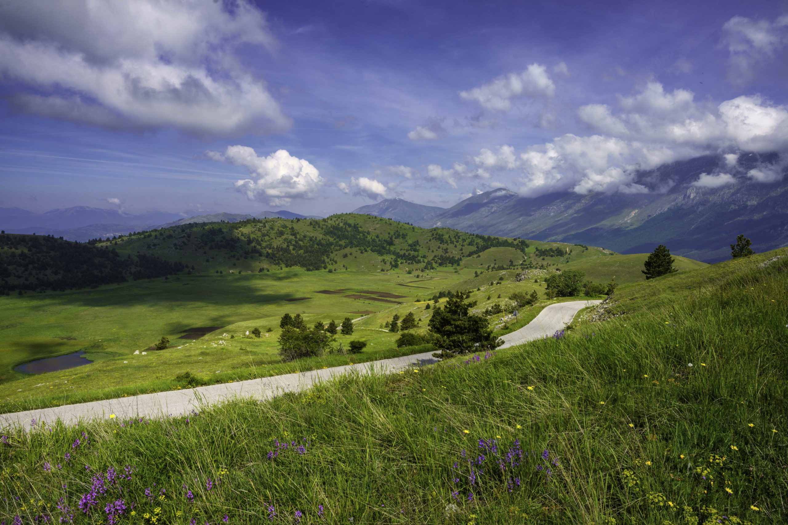 Foto-ricci-bus-imola-bologna-ravenna-bagnara-romagna